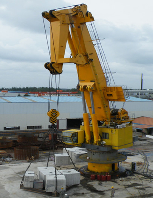 Boom hydraulique électrique Crane Engineering Multi Purpose Vessel en mer d'articulation